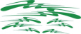 Speed Graphics