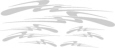 Speed Graphics