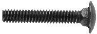 Carriage Bolt (14451-B25)