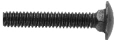 Carriage Bolt (14451-B25)