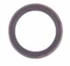 Drive End Motor Seal (3919-B25)