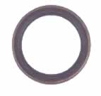 Drive End Motor Seal (3919-B25)