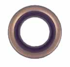 Hub Grease Seal (3931-B25)