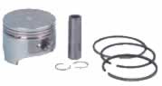 Piston & Ring Assembly (Standard 4570-B29)