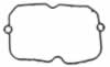 Rocker Cover Gasket (4781-B25)