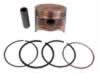 Piston & Ring Assembly - Standard (5153-B29)