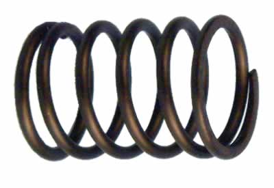 Valve Spring (5574-B25)