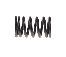 Valve Spring (6829-B10)