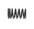 Valve Spring (6829-B25)