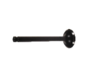 Exhaust Valve - EZGO RXV with 4-cycle Kawasaki gas engine 2008-up (7612-B29)