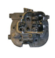 Cylinder Head Assembly (1017435-B49)