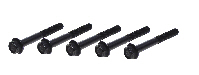 Short A-Arm Bolt (8079-B25JJJ)