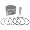 Piston Ring Assembly .25mm oversized Fits Yamaha G14 gas 1994-1995 Carts (9210-B29)